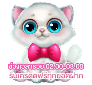 เบทฟิก โปรรวยรอบดึก